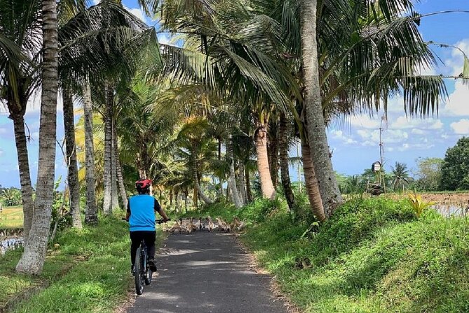 Ubud: Downhill Cycling with Volcano, Rice Terraces and Meal - Stop 3: Banjar Laplapan lunch—what to expect from the meal