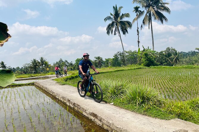 Ubud eBikes Tour to Tegallalang Rice Terrace - Tegallalang Rice Terrace: lunch, photos, and what 45 minutes feels like