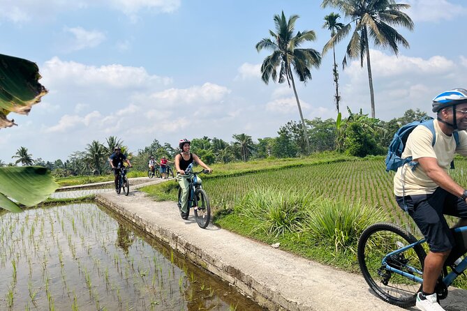 Ubud eBikes Tour to Tegallalang Rice Terrace - Value check: what $30.55 buys you (and why it’s not just a bike rental)