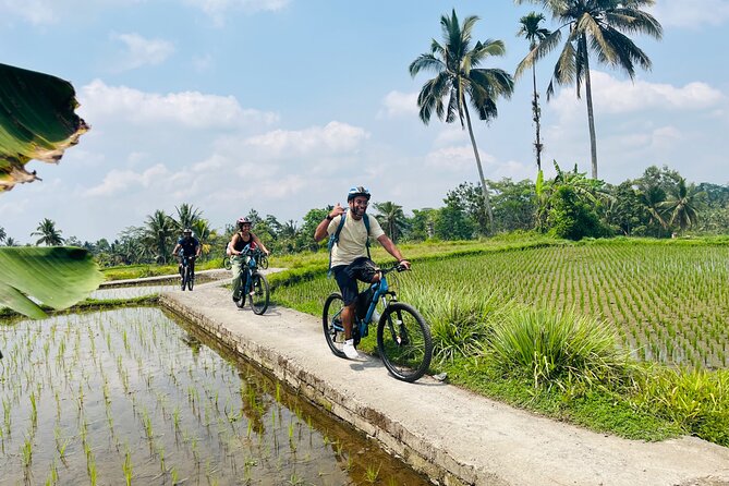 Ubud eBikes Tour to Tegallalang Rice Terrace - Should you book the Ubud eBikes Tour to Tegallalang Rice Terrace?