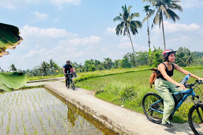 Ubud eBikes Tour to Tegallalang Rice Terrace - From the eBikes Ubud office to Petulu: the first ride and the briefing