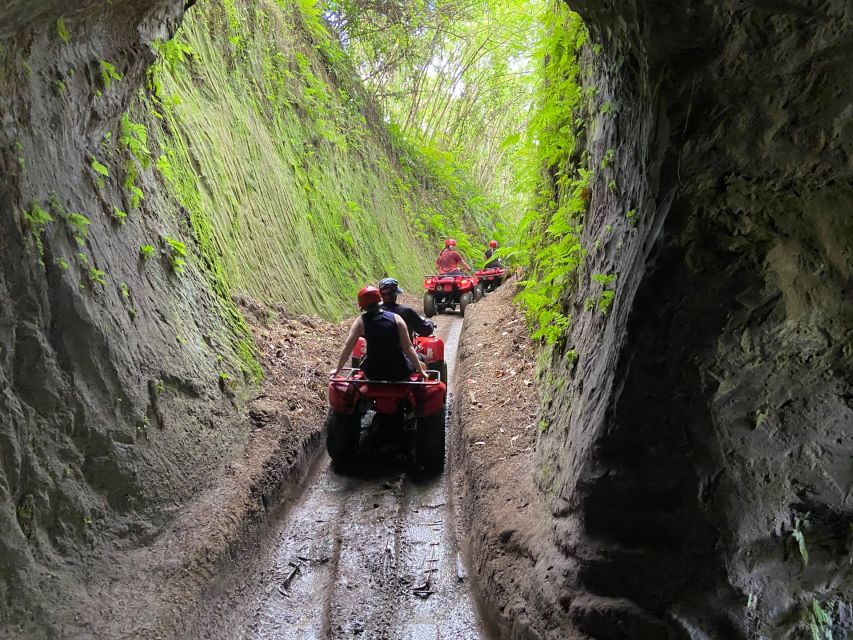 Ubud: Gorilla Face Quad Bike, Jungle Swing, Waterfall & Meal - Should you book this Gorilla ATV + waterfall + swing day?