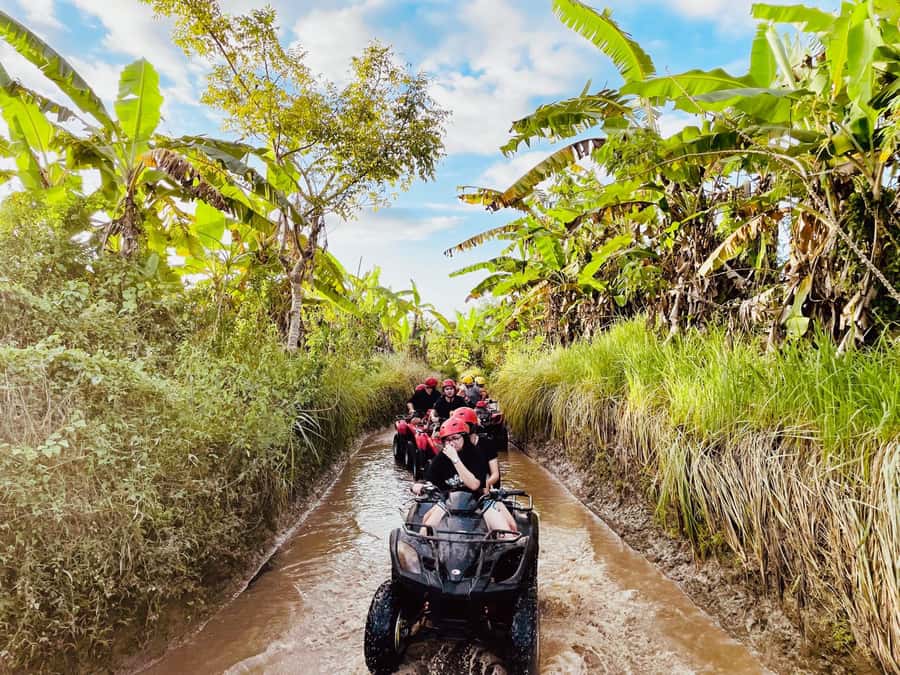 Ubud: Gorilla Face Quad Bike, Jungle Swing, Waterfall & Meal - Satria Agrowisata: giant swing views plus coffee and herbal tea