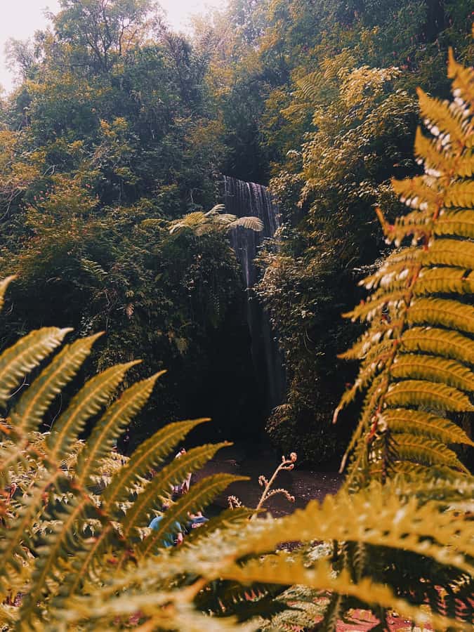 Ubud: Gorilla Face Quad Bike, Jungle Swing, Waterfall & Meal - Who this tour suits (and who should skip it)