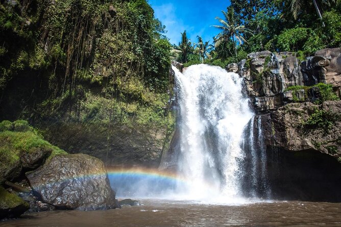Ubud Hot Springs and Waterfall Private Guided Tour - Key highlights you’ll actually feel
