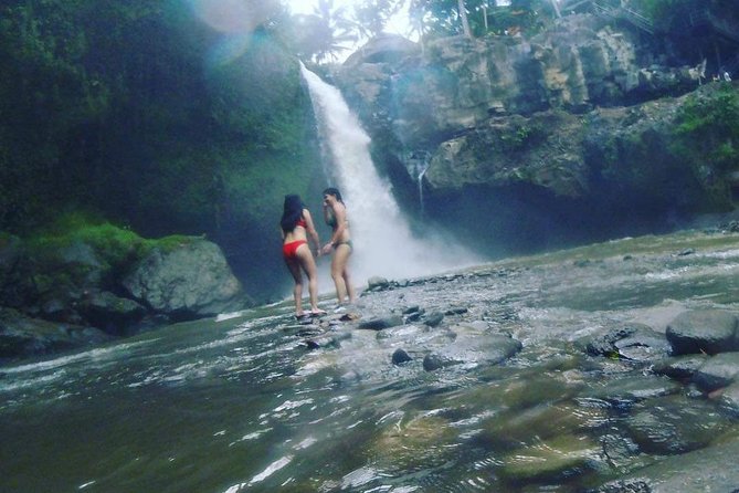 Ubud Hot Springs and Waterfall Private Guided Tour - Tirta Empul purification temple: sacred focus, steady pace