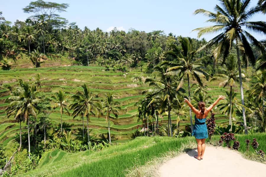Ubud: Monkey Forest and Rice Terrace Private Tour - Ubud in one day: the recipe for a first-time visit
