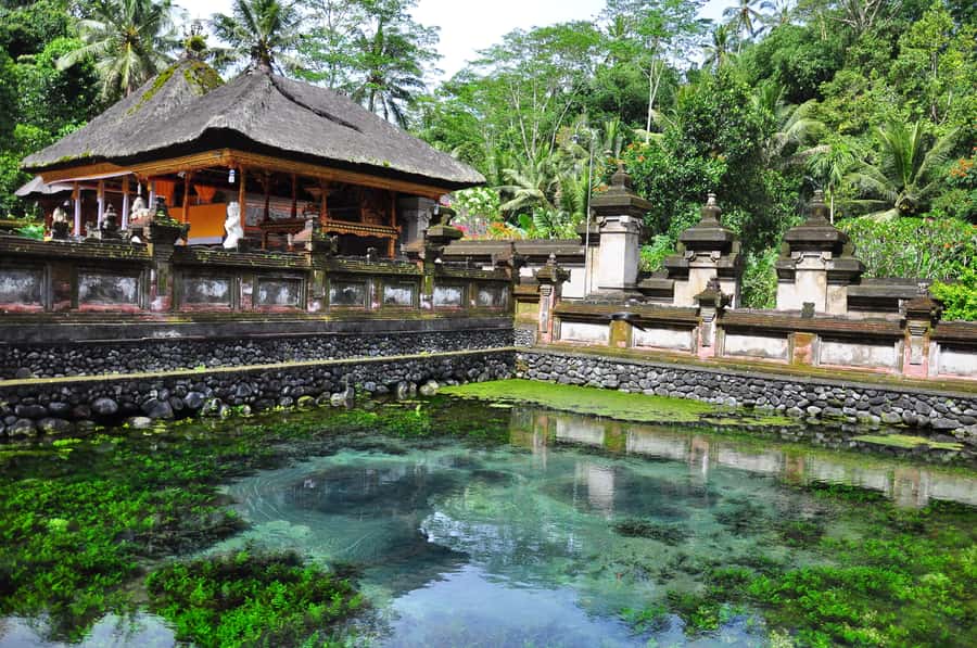 Ubud: Monkey Forest, Ceking Rice Terraces and More– Full Day - What you’re really paying for: guides who manage the day