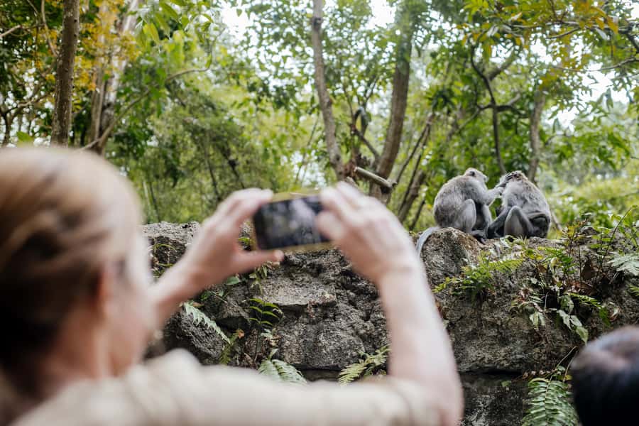 Ubud: Monkey Forest, Ceking Rice Terraces and More– Full Day - Sacred Monkey Forest: the fun is real, but follow the vibe