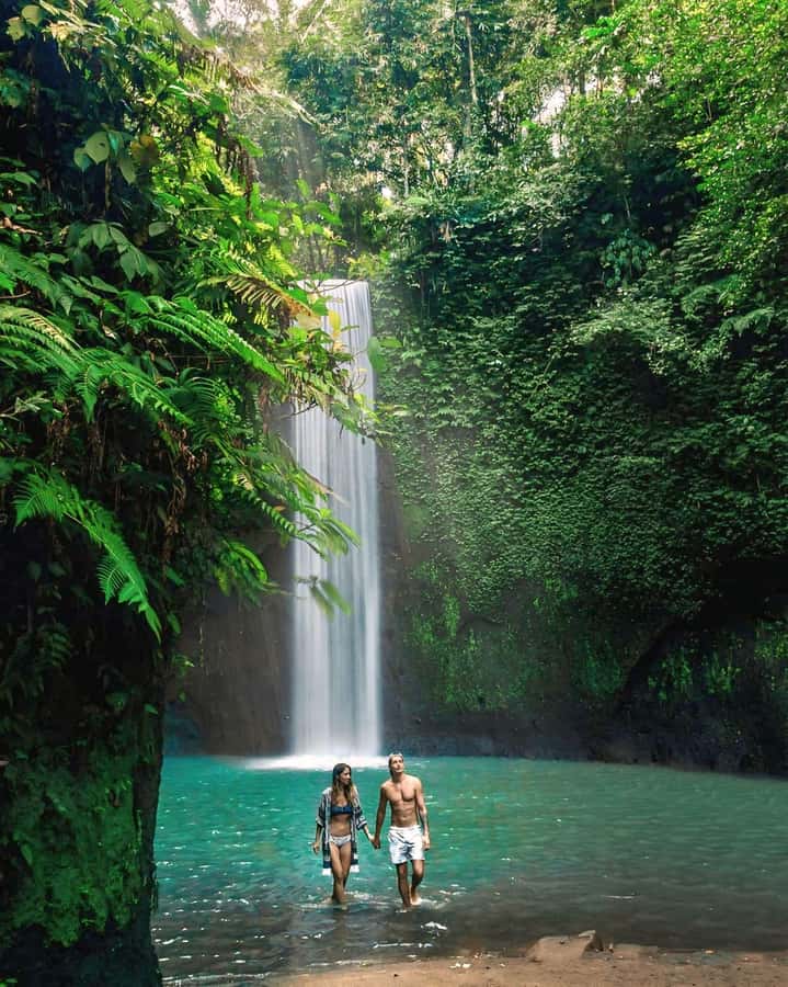 Ubud: Private Scenic Waterfalls and Rice Terraces Tour - Key highlights that matter (and why)