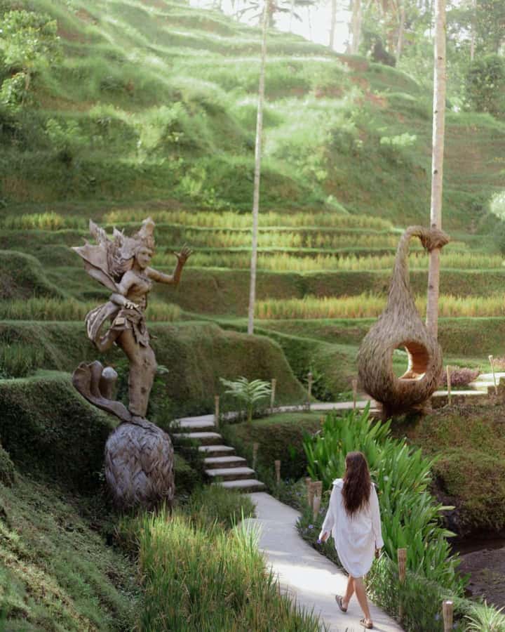 Ubud: Private Scenic Waterfalls and Rice Terraces Tour - Guide quality: the names that show up for a reason