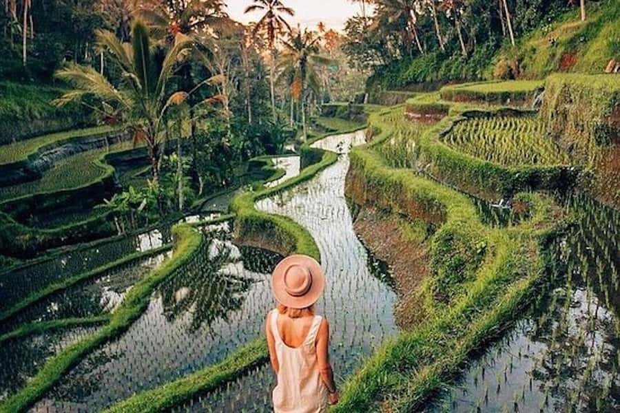 Ubud: Rice Terrace, Waterfall, & Elephant Cave - The guides make the difference: names you may meet