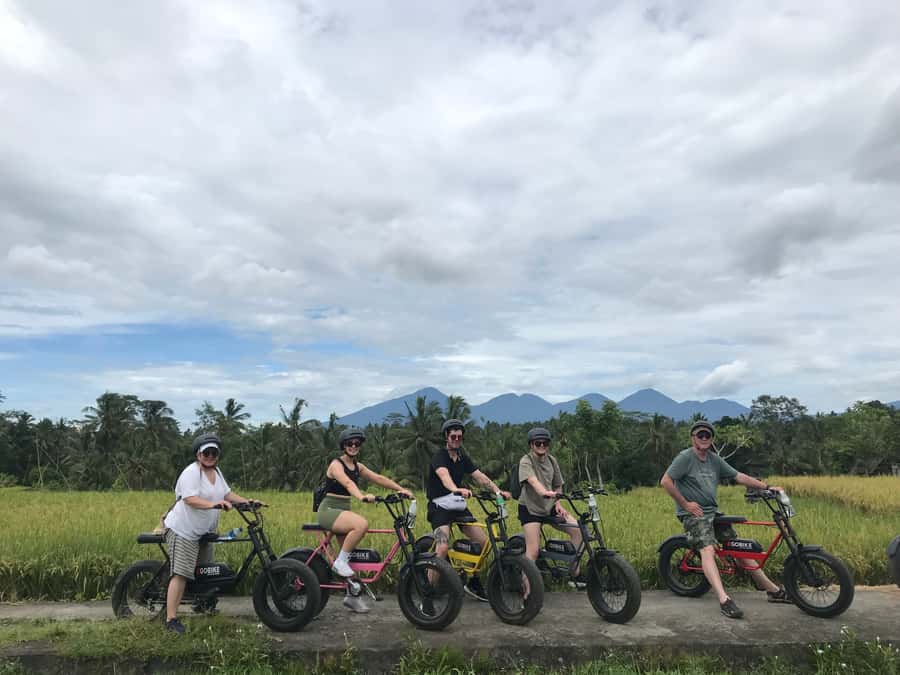Ubud: Rice Terraces & Villages Half-Day Fat Tire E-Bike Tour - Key highlights worth your time