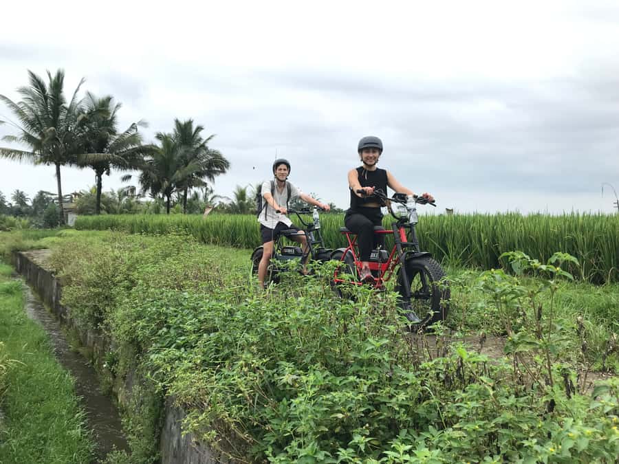 Ubud: Rice Terraces & Villages Half-Day Fat Tire E-Bike Tour - Value: what $33 buys you in Ubud
