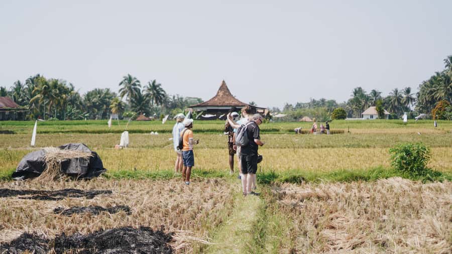 Ubud: Rice Terraces & Villages Half-Day Fat Tire E-Bike Tour - E-bikes with fat tires: why this ride feels doable in Ubud
