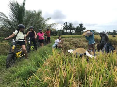 Ubud: Rice Terraces & Villages Half-Day Fat Tire E-Bike Tour - Pickup and the short start-up that makes or breaks the tour