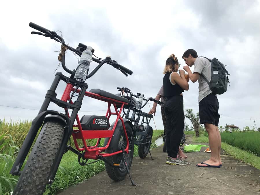 Ubud: Rice Terraces & Villages Half-Day Fat Tire E-Bike Tour - Cekingan Rice Terrace and the UNESCO subak irrigation system