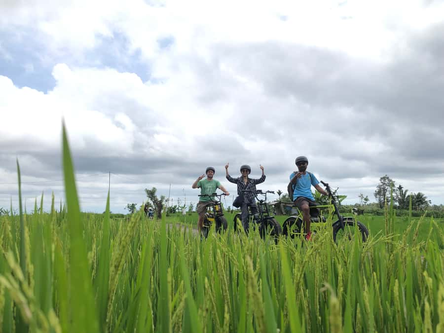 Ubud: Rice Terraces & Villages Half-Day Fat Tire E-Bike Tour - Tegalalang village visit: culture you can actually talk about