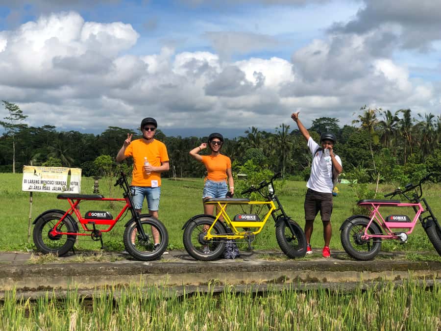 Ubud: Rice Terraces & Villages Half-Day Fat Tire E-Bike Tour - Lunch back in Ubud: a real reward after the ride