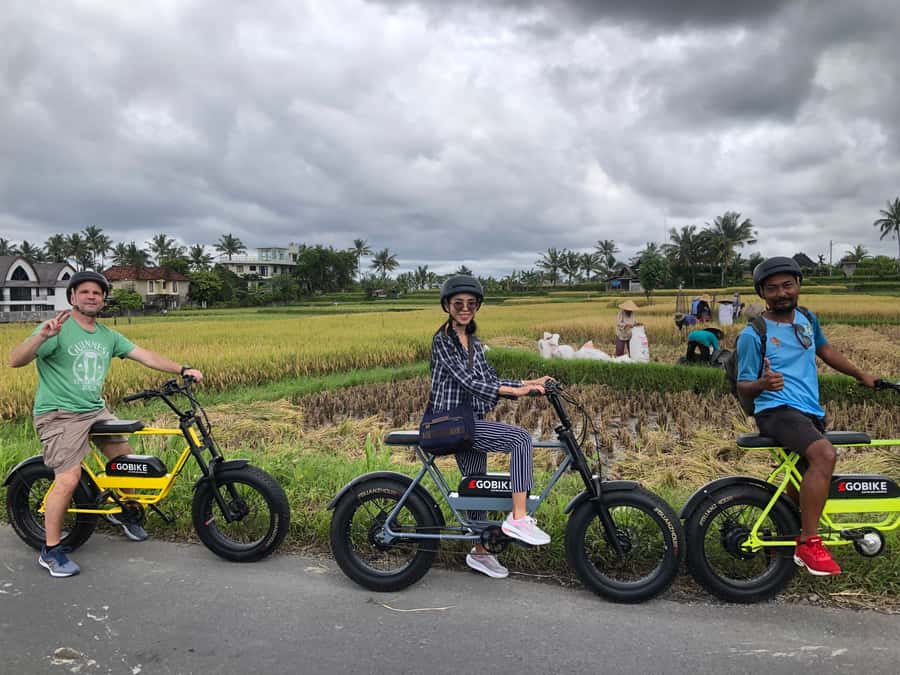 Ubud: Rice Terraces & Villages Half-Day Fat Tire E-Bike Tour - How hard is it really? (Hint: e-bike assist changes everything)