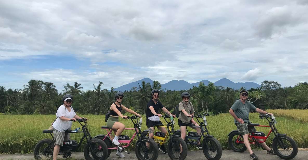 Ubud: Rice Terraces & Villages Half-Day Fat Tire E-Bike Tour - Guide quality you’ll notice: Wayan, Kadek, Made, Inyoman