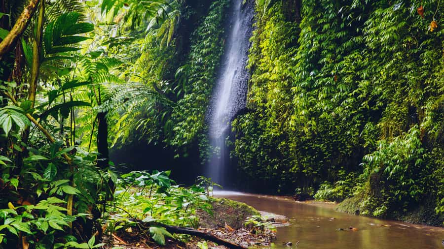 Ubud: Spectacular Waterfalls Tour - Gunung Kawi Sebatu Temple: A Quiet Sacred Break
