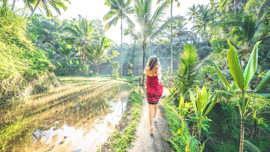 Ubud: Spectacular Waterfalls Tour - Price and Value: What $27 Really Buys