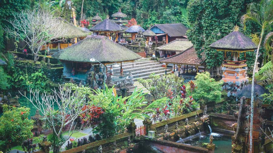 Ubud: Spectacular Waterfalls Tour - Rain, Stairs, and Staying Comfortable All Day