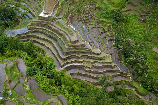Ubud Top Attractions: Waterfalls, Temples and Rice Terraces - Stop 3: Gunung Kawi Sebatu Temple, Quiet Ponds, and Koi Reflections