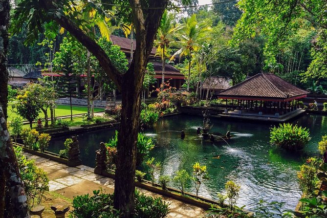 Ubud Top Attractions: Waterfalls, Temples and Rice Terraces - Stop 4: d’Alas Swing Over the Jungle Valley