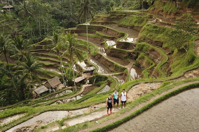 Ubud Top Attractions: Waterfalls, Temples and Rice Terraces - Stop 5: Tegalalang Rice Terrace Walk You Can Actually Enjoy
