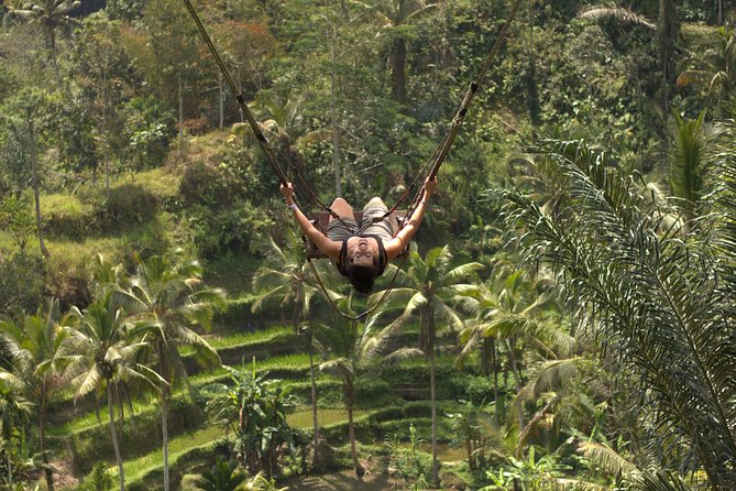 Ubud Top Attractions: Waterfalls, Temples and Rice Terraces - Lunch at D’Alas Warung: More Than Just a Break