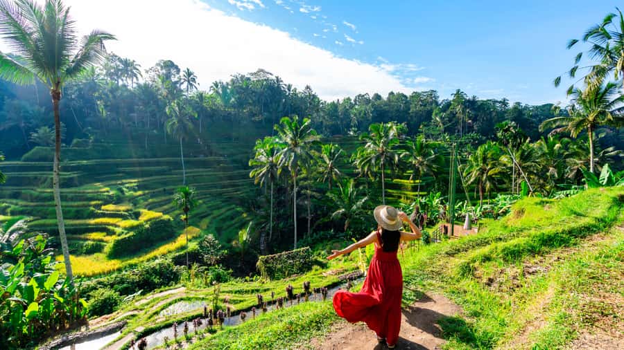 Ubud: Waterfall, Rice Terraces & Monkey Forest Private Tour - Tirta Empul: the holy spring ritual stop that changes the tone