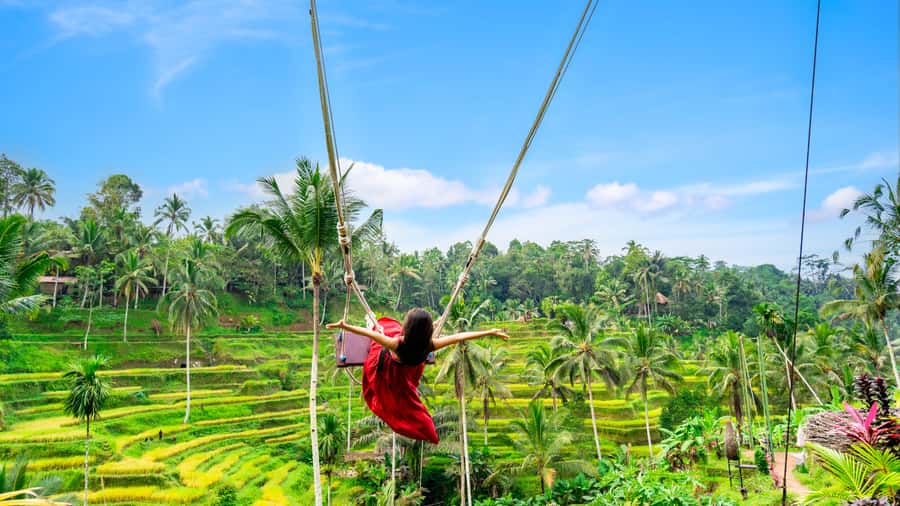 Ubud: Waterfall, Rice Terraces & Monkey Forest Private Tour - The Ubud day plan that actually makes sense