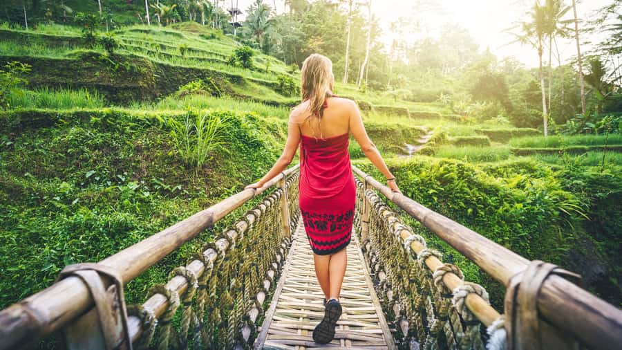 Ubud: Waterfall, Rice Terraces & Monkey Forest Private Tour - Sacred Monkey Forest Sanctuary: close encounters, not random chaos