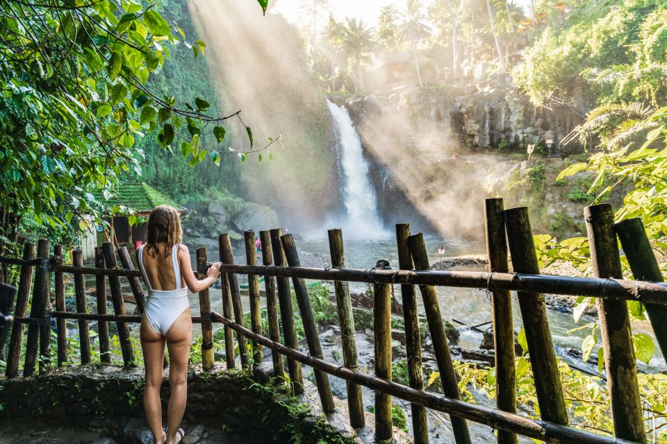 Ubud: Waterfall, Rice Terraces & Monkey Forest Private Tour - Tegalalang Rice Terraces: why this view is famous