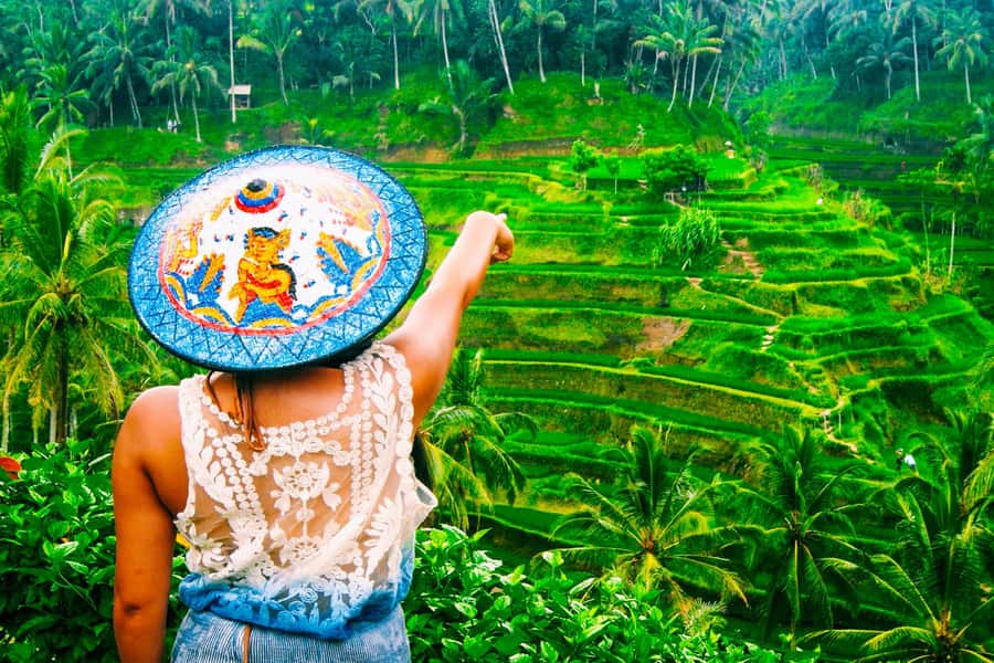Ubud: Waterfall, Rice Terraces & Monkey Forest Tour - Ubud in One Day: temples, monkeys, terraces, and a big route