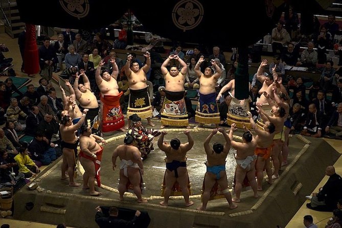 Ultimate Sumo Tournament: Tokyo, Osaka, Nagoya, Fukuoka - Why reserved sumo seats feel like a smart buy