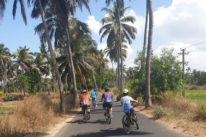 Varca Coastal E-Bike Tour: Scenic Beachside Adventure - Varca Coastal E-Bike Tour: the fast pitch