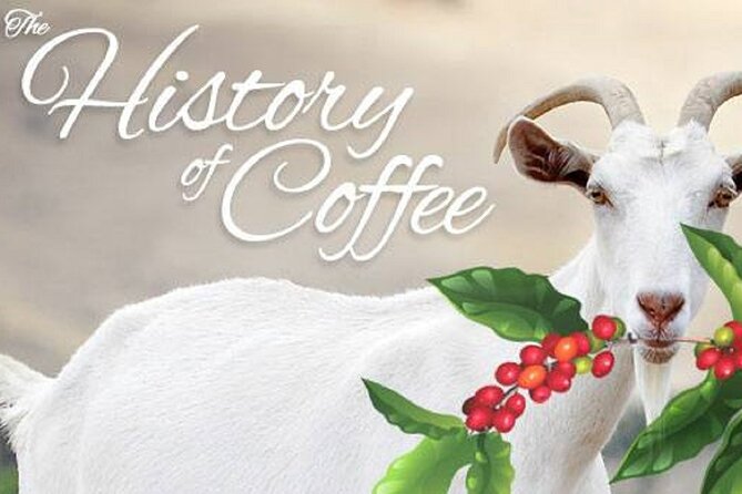 Vietnamese Culture and Coffee Making Class - The culture lesson: how French colonization shaped Vietnamese coffee