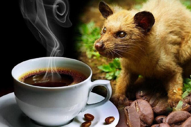 Vietnamese Culture and Coffee Making Class - Where it happens and how to plan your arrival