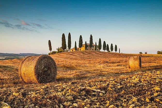 Walking Food Tour of Florence with Tastings and Wine - Price and Value: Is $119.72 Worth It?