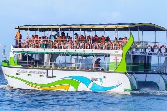 Whales and Dolphins Watching-Luxury Super Grade Cruiser(Hotel Pick up offered) - Key Things I’d Pay Attention To