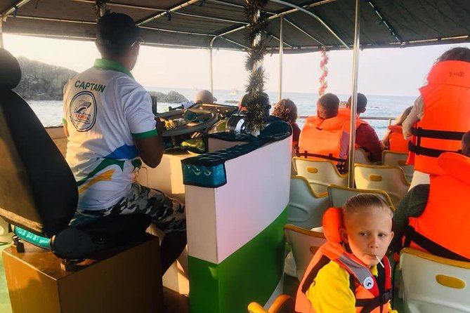 Whales and Dolphins Watching-Luxury Super Grade Cruiser(Hotel Pick up offered) - Responsible Whale Watching: The Rules You Can Feel
