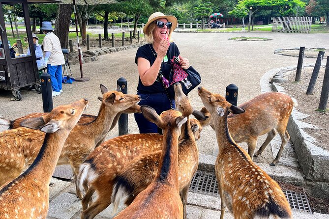 World Heritage Kyoto & Nara Uji Authentic Matcha Experience - From Kyoto Avanti to Nara: a morning plan that saves your energy