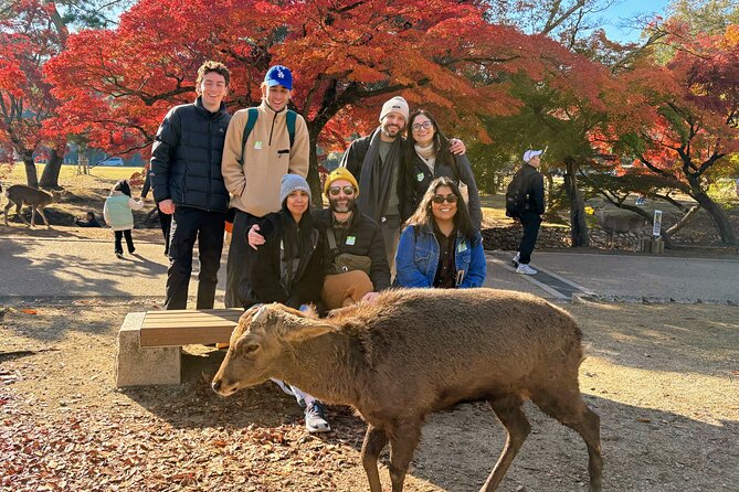 World Heritage Kyoto & Nara Uji Authentic Matcha Experience - Todai-ji Temple and Nandaimon South Gate: the UNESCO scale moment