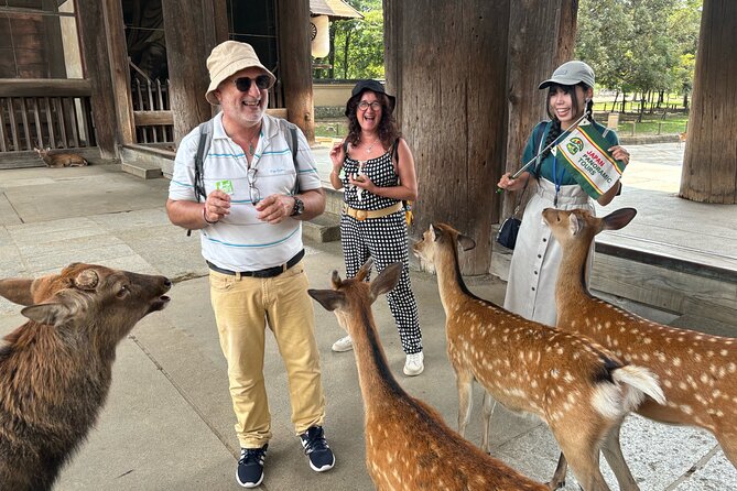 World Heritage Kyoto & Nara Uji Authentic Matcha Experience - Who this tour fits best (and where it may not)