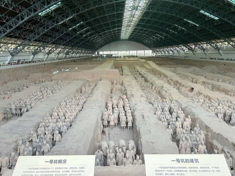 Xi'an: Exclusive Terracotta Army Tour & Local Family Lunch - The Terracotta Army museum: Pit 1’s shock, then the bigger logic