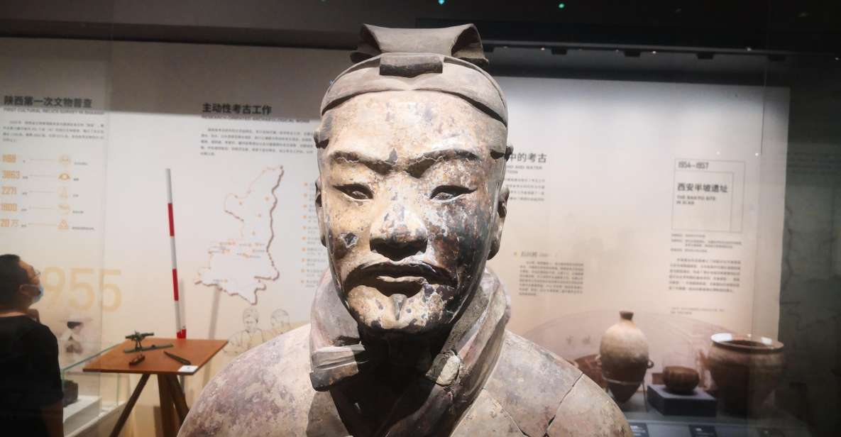 Xian: Guided Terracotta Army Bus Tour or Ticket Only Option - Who should book this Terracotta Army tour?