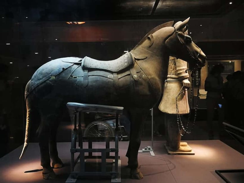 Xi'an: Terracotta Army Mini Group or Private Tour - Logistics that can make or break your experience